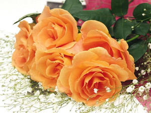  Открытки. 8 марта! Розы <b>оранжевые</b>! 