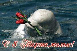  Поздравление с 8 марта. <b>Дельфин</b> с цветами 