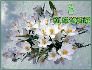  Открытка-поздравление С 8 марта с <b>красивыми</b> цветами весны 