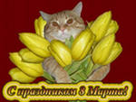 С праздником 8 марта! Котенок с желтыми <b>тюльпанами</b> 