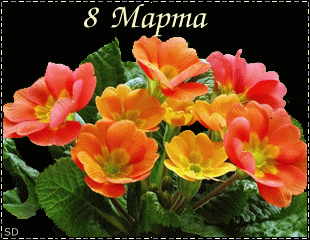 8 Марта. Красно-оранжевые цветы