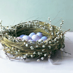 Гнездо из веток вербы с голубыми яйцами