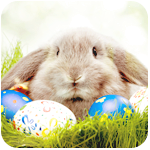 Зайчишка и пасхальные яйца на траве