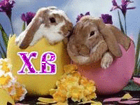 Кролики-пасх.яйца