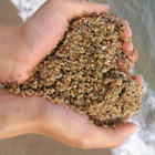 Песок в руках в виде сердца