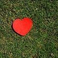 Сердце на траве