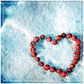 Сердце из ягод рябины на снегу