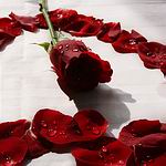 Красная роза в сердце из лепестках