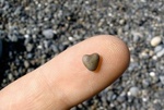 Камешек на пальце в виде сердечка
