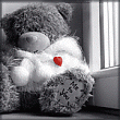 Серый медведь с бьющимся сердцем сидит у окна