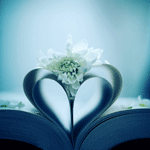 Цветок на книге, сложенной в форме сердца