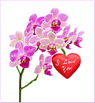 На орхидее сердечко с надписью Я люблю тебя!