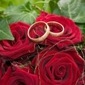  Два кольца на <b>красной</b> розе 