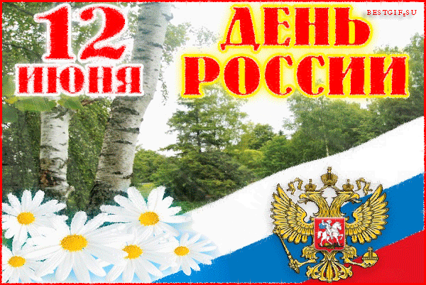 12 июня День России. Ромашки и березы