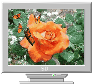 Роза на мониторе