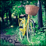 Велосипед с корзинкой стоит на лесной тропинке (way)