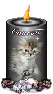 Свеча с изображением котенка
