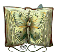  <b>Книга</b>-бабочка 