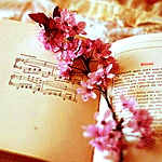 Ветка с розовыми цветочками лежит на книге