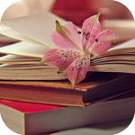 Книги и цветок лилии