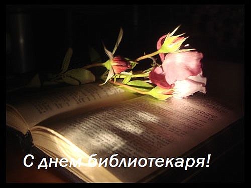 27 мая С днем библиотекаря! Розовая роза на книге