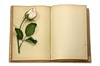 Книга с розой