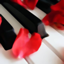 Клавиши пианино и лепестки
