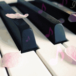 Лепестки цветов на клавишах фортепиано