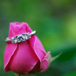 Кольцо на розе