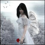  Ангел в <b>белом</b> платье с розой в руках 