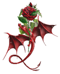 Красный дракончик с красной розой