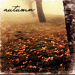 Осенний пейзаж (autumn)