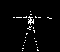 Скелет на зарядке