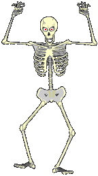 Скелет человека. Анимация