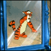  Тигра <b>смотрит</b> в зеркало 
