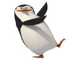Мадагаскар.Танцующий пингвин