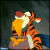 Тигра лакомится мёдом