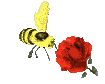 Пчела над красным цветком