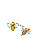 Пчёлы в брачный период