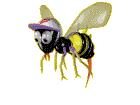 Пчела в кепке