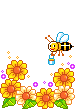 Пчела соберает нектар с цветов