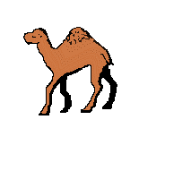  Одногорбый <b>верблюд</b> 
