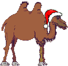 Новогодний верблюд