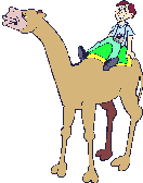 Турист на верблюде