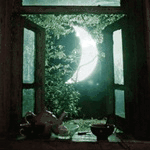  <b>Окно</b> с видом на месяц 