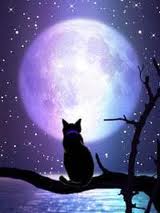 Кот на фоне луны