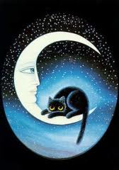 Черная кошка лежит на Луне