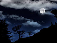 Луна над склоном освещает деревья