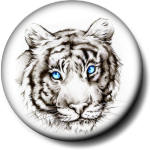 Грустный тигр с голубыми глазами