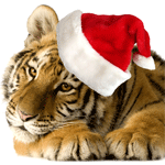  Тигр в <b>новогодней</b> шапке 